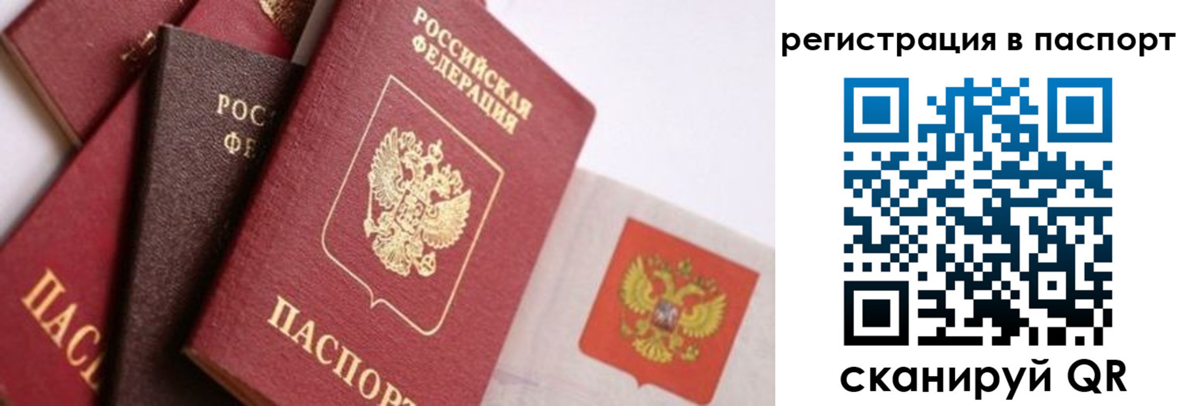 прописка в квартире в Райчихинске